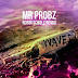 Download Waves (Robin Schulz Remix) - Mr Probz mp3