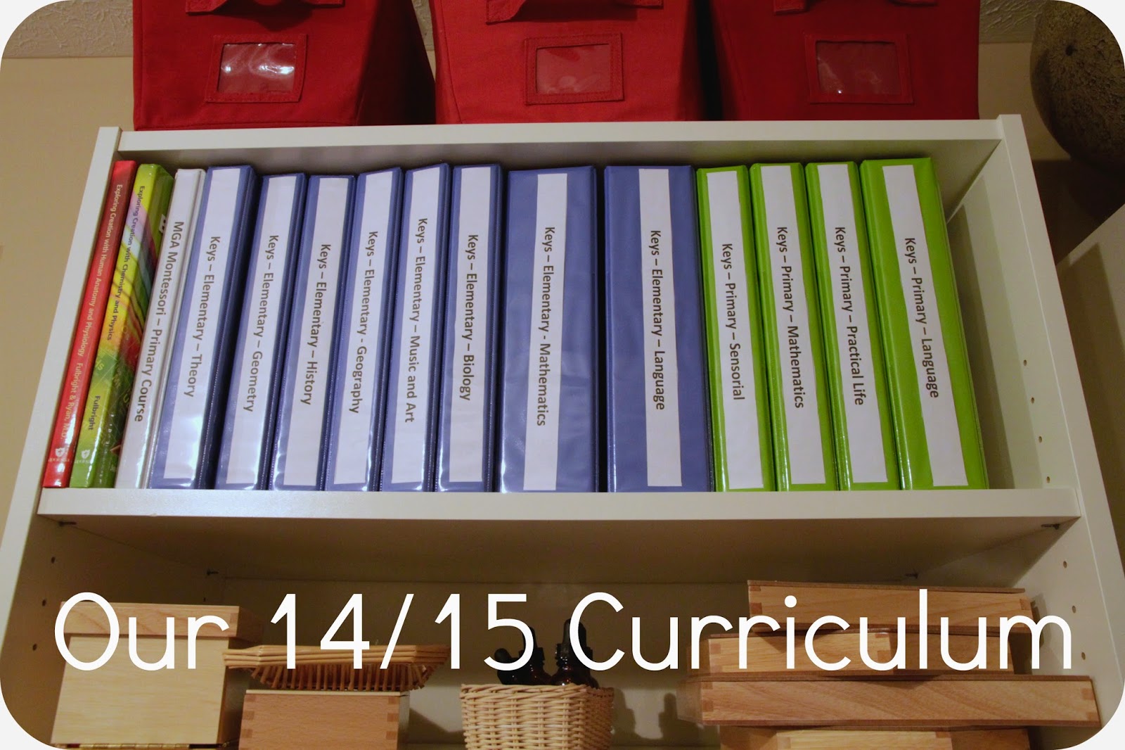 The Overdue 14/15 Curriculum Post