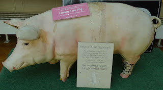 Lance, the donation pig, will happily accept any spare pennies!