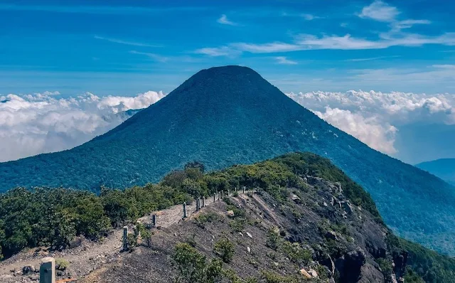 Nikmati keindahan Gunung Gede Pangrango. Panduan lengkap!