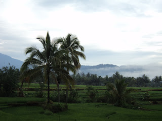 jalur hijau batusangkar