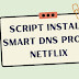 Script Install Smart DNS Proxy Netflix