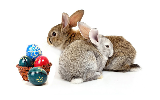 Free Download Easter 2013 HD Wallpapers for Android Tablets