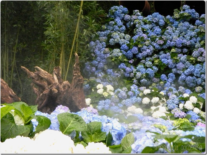 Foto 3d