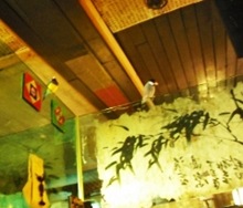 Old Tea Shop 01