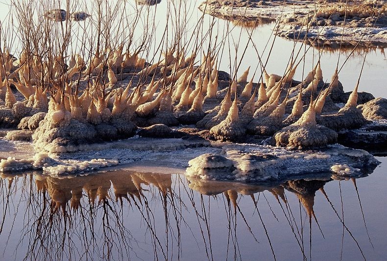 dead-sea-salt-crystals-10 dead-sea-salt-crystals-10