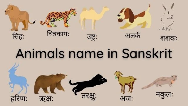 wild animals name in Sanskrit with pictures