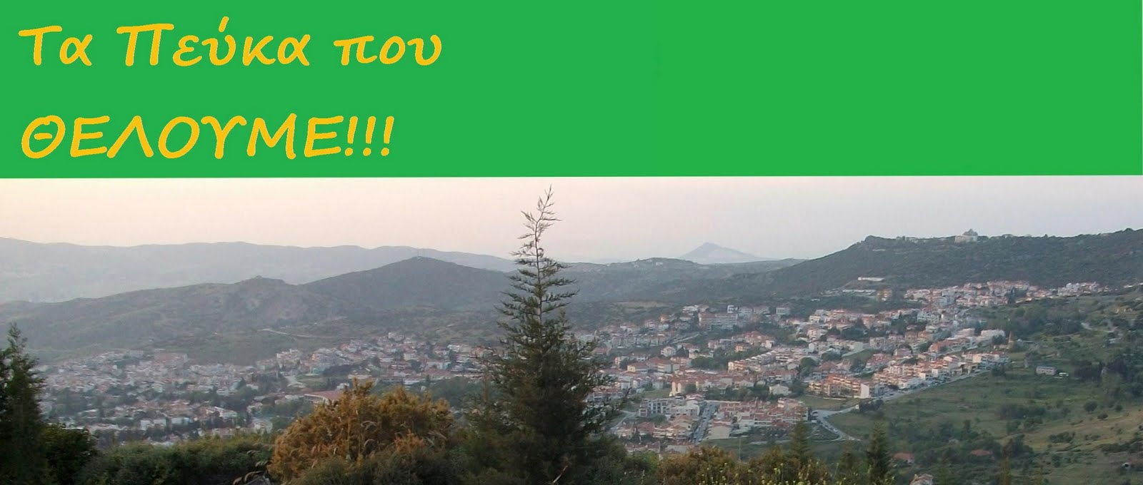 Τα Πεύκα που ΘΕΛΟΥΜΕ!!!