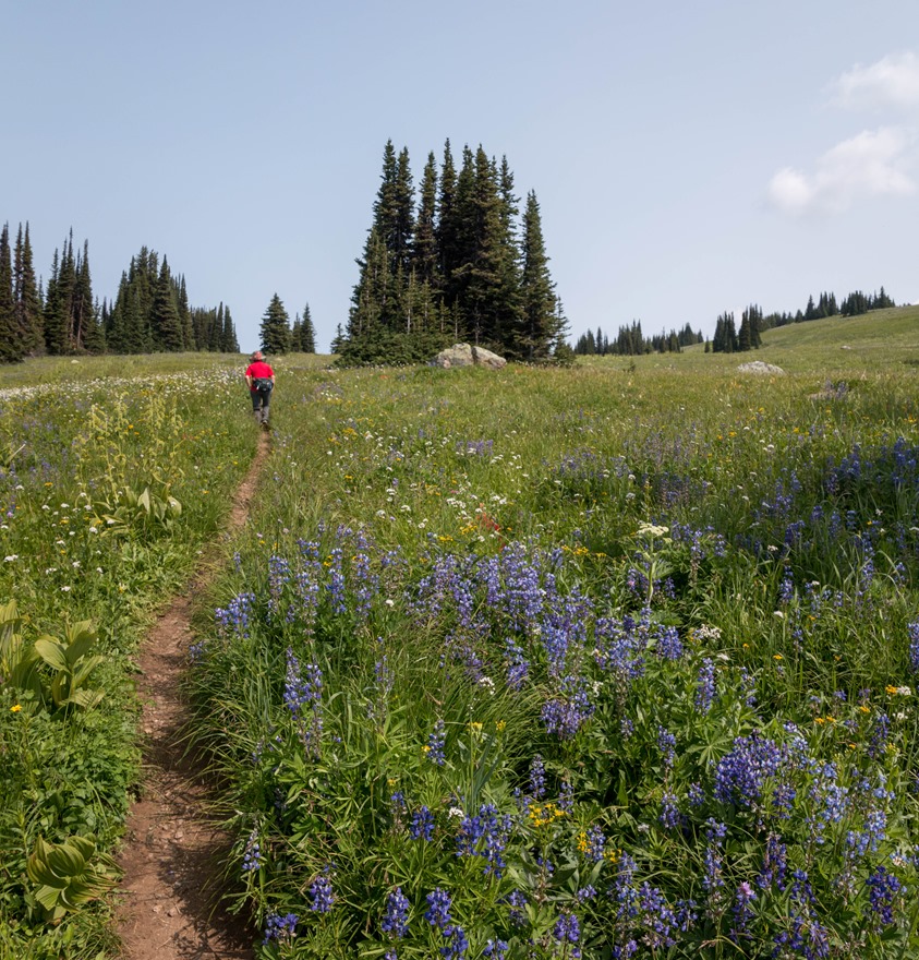IMG_1053698-Pano