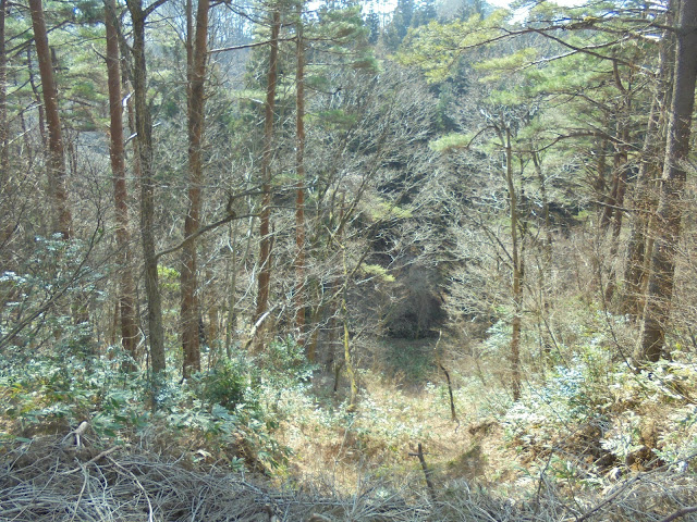 丸山ふれあいの森キャンプ場