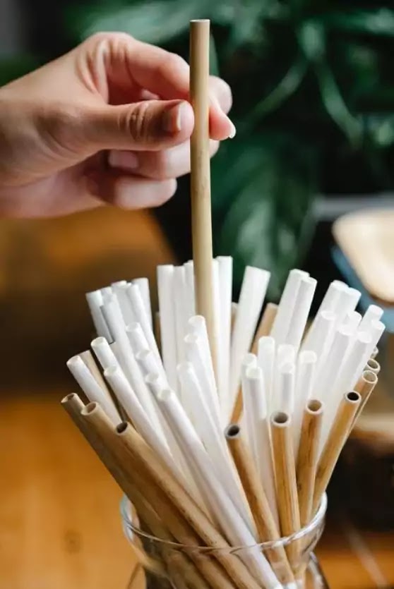 No to Plastic Straws