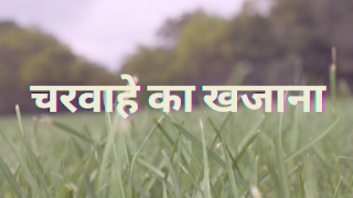 Hindi Stories in writing