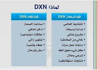 تسجيل عضوية في شركة dxn من خلال الموقع الرسمي