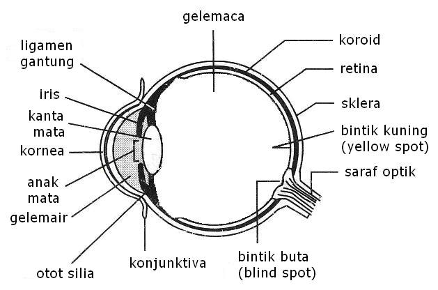 Contoh Soalan Struktur Kimia Tingkatan 4 Bab 2 - Soalan bc