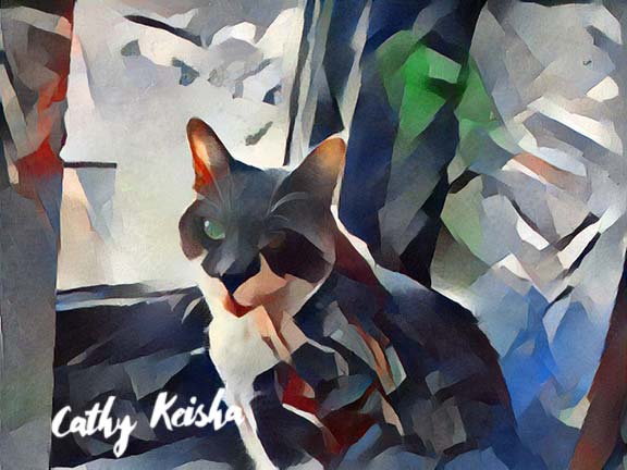 Feral Friday: Cubist Cat Chronicles