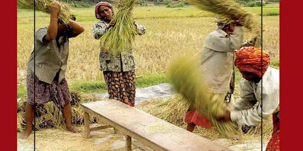 இயற்கை விவசாயம்