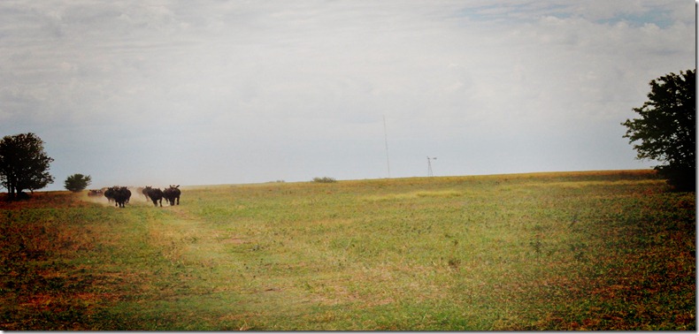 farm7