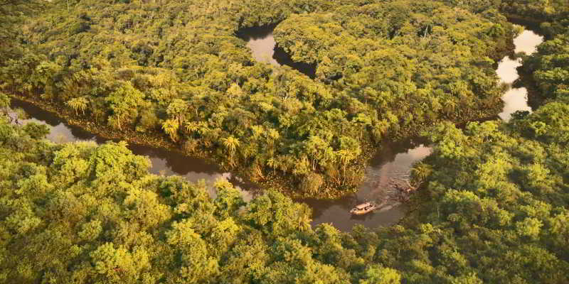 Jungle Cruise River