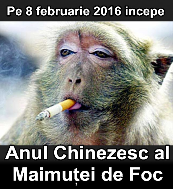 Anul 2016 - anul maimutei de foc