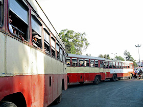 line of PMT buses at traffic light