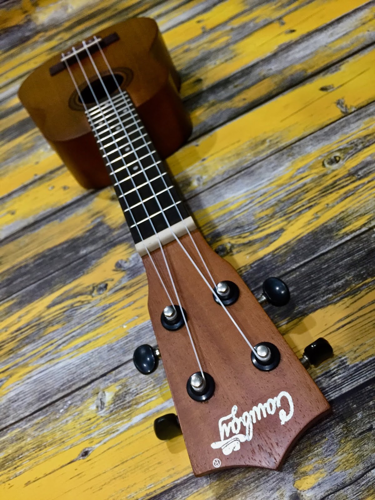 Toko Gitar Semarang / SEMARANG MUSIC POINT / Pusat Gitar 