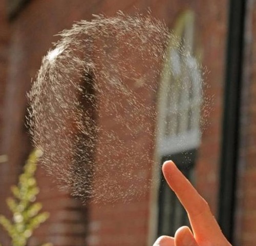 High Speed Photography | Bursting a Soap Bubble