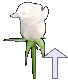 seta para blog - topo