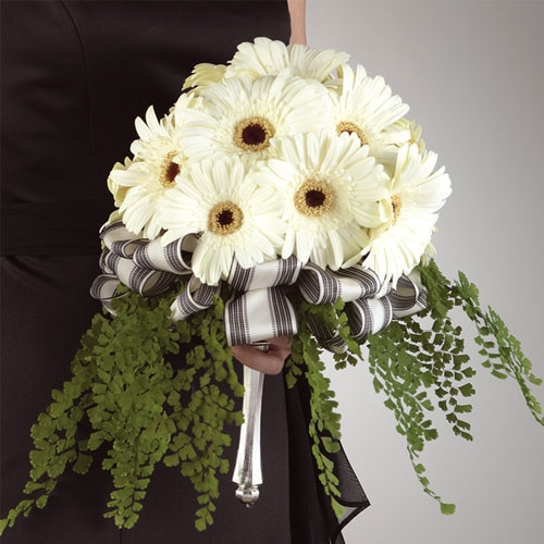 Gerbera Daises white Bouquet