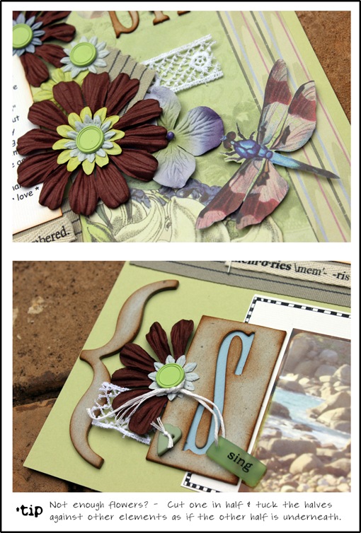 layout photo 1