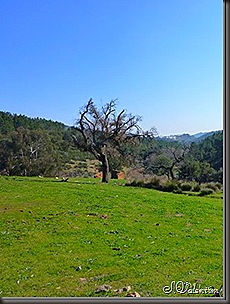 clip_image109