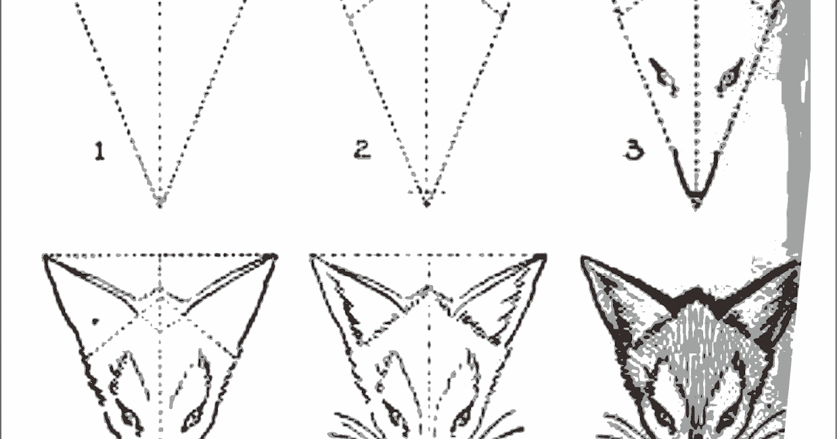  Sketsa  Gambar  Kucing Yang Mudah  Digambar  Contoh Sketsa  