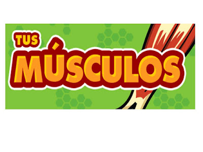 OS MÚSCULOS