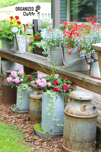 Buckets and Pails as Planters in the Junk Garden