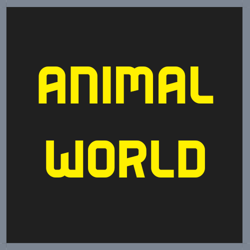 Animal world
