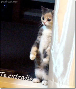 te extraño