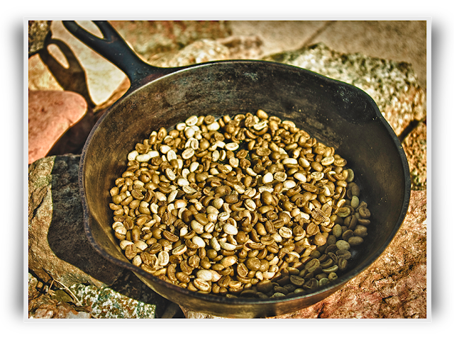 Green Coffee Beans for Roasting