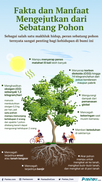 infografis pohon dan oksigen