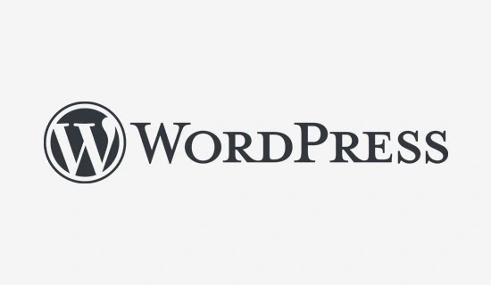 Wordpress Blog Oluşturma