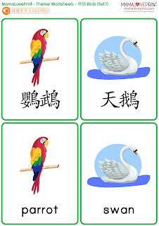 MamaLovePrint 主題工作紙 - 認識鳥類 Birds Worksheets Vocabulary Exercise for School Printable Daily Activities