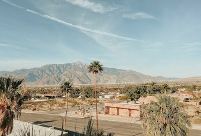 a California landscape with palm trees on a bright day