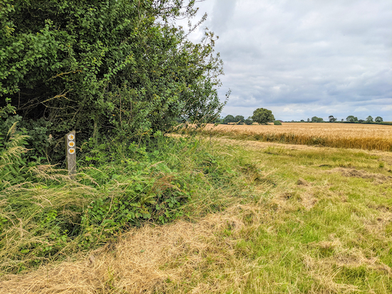 Turn left on Kings Walden footpath 39