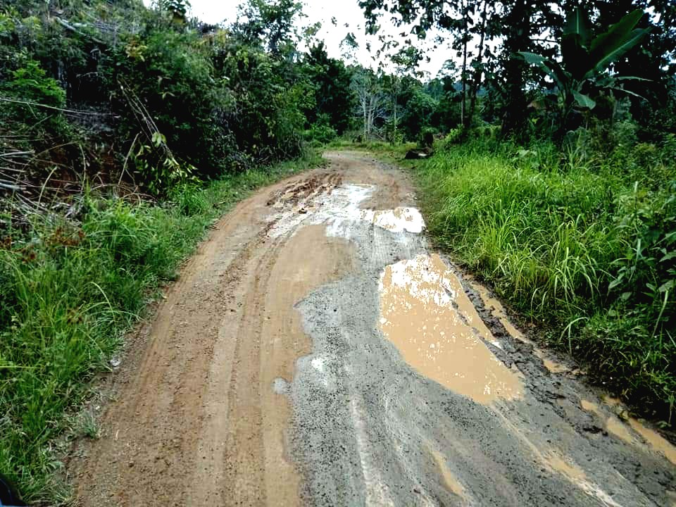 Puluhan Tahun Jalan Swakarsa Tidak Tersentuh, Warga Nilai Pemda Parimo Terkesan Abai