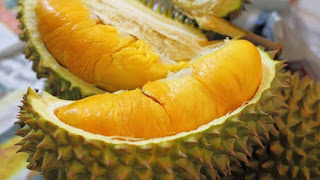 Tips Berkebun Durian Agar Cepat Berbuah