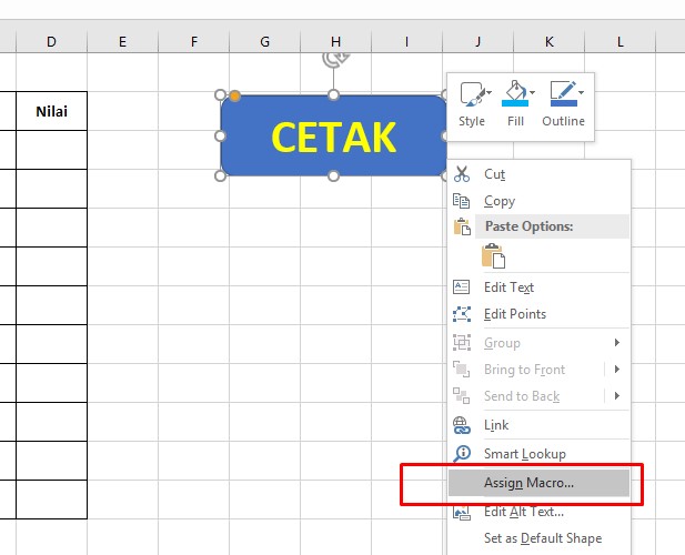 Cara Membuat Tombol Print di Excel 