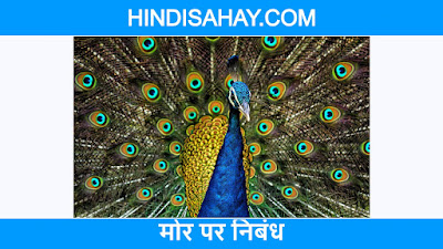 Essay on peacock in hindi - मोर पर निबंध