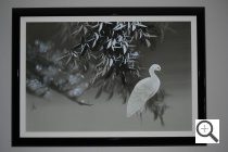 Nikon D3100 Imagen de muestra