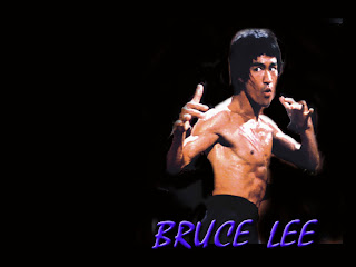 bruce lee belgesel