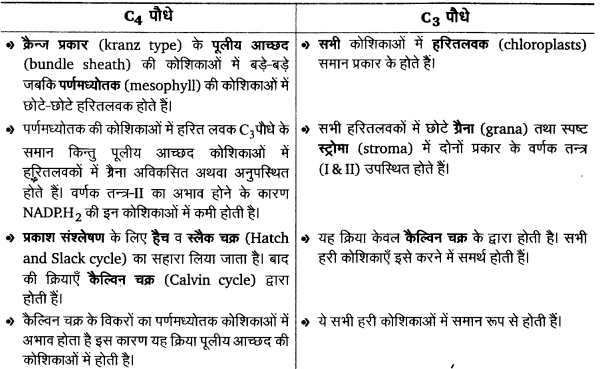 Solutions Class 11 जीव विज्ञान Chapter-13 (उच्च पादपों में प्रकाश-संश्लेषण)