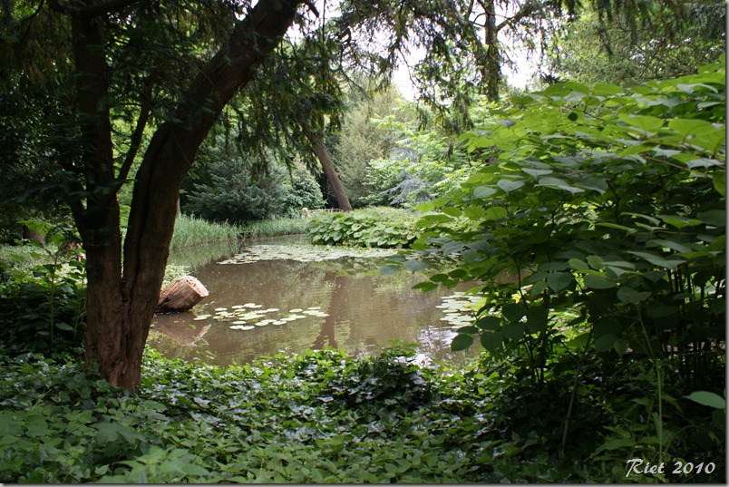 schoonoord en diversen 039