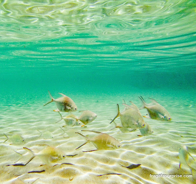 Mergulho em San Blas no Panamá